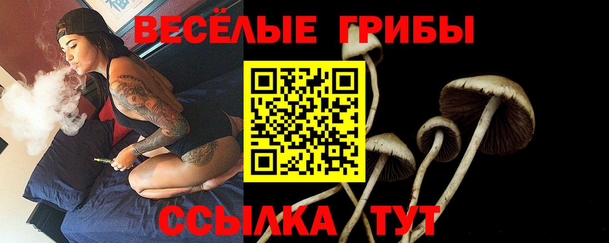 Галлюциногенные грибы Psilocybine cubensis  наркота  Юрга  Галлюциногенные грибы ЛСД  Вход с VPN 