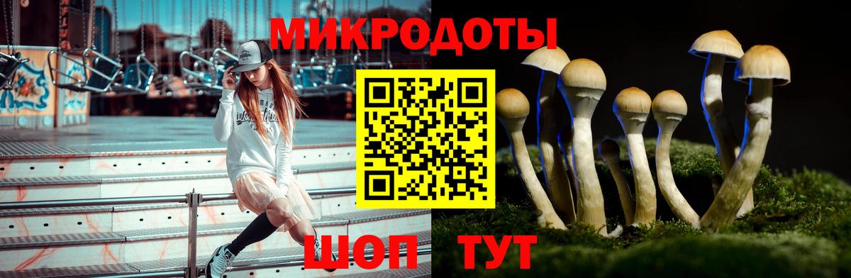 Псилоцибиновые грибы прущие грибы Юрга